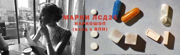 дмт Болотное