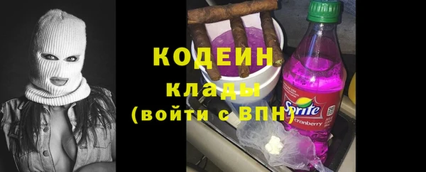 шишки Нягань