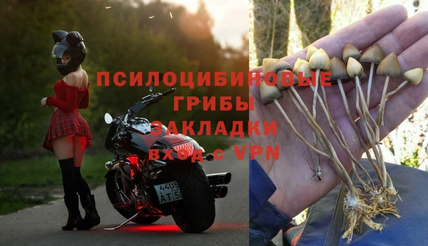 гидропоника Нязепетровск