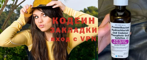 шишки Нягань