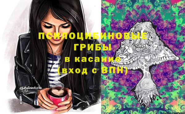шишки Нягань