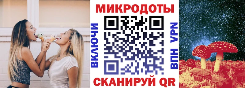 Псилоцибиновые грибы Cubensis Харабали