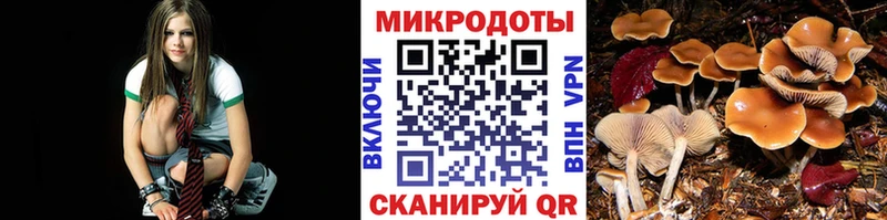 гидра   Харабали  Галлюциногенные грибы Psilocybine cubensis  купить наркотик 